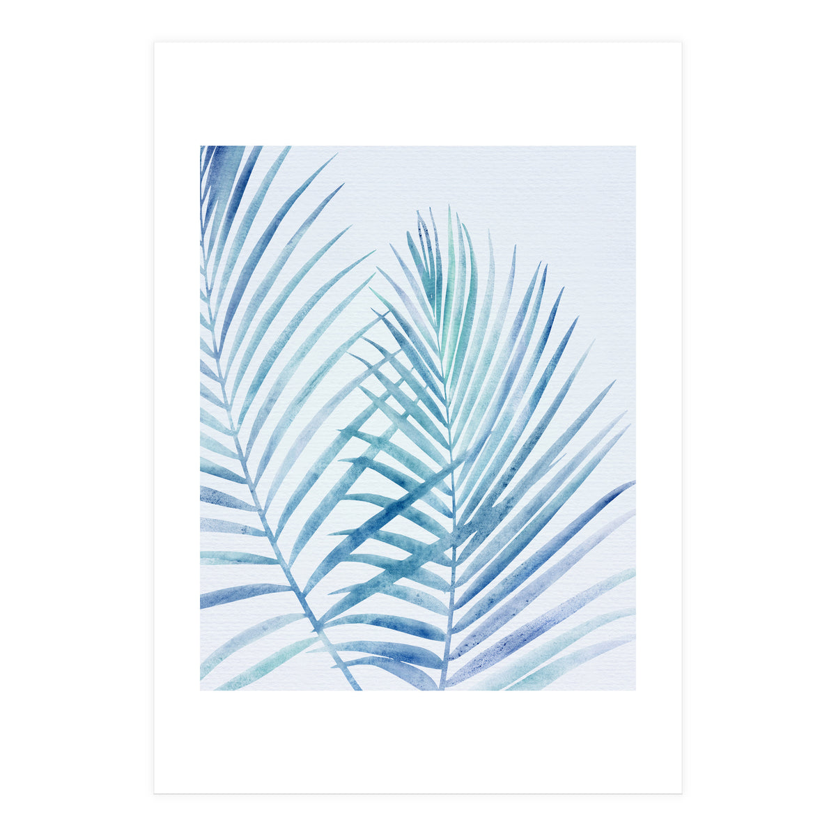 Coastal Palm Fronds (Print Only)