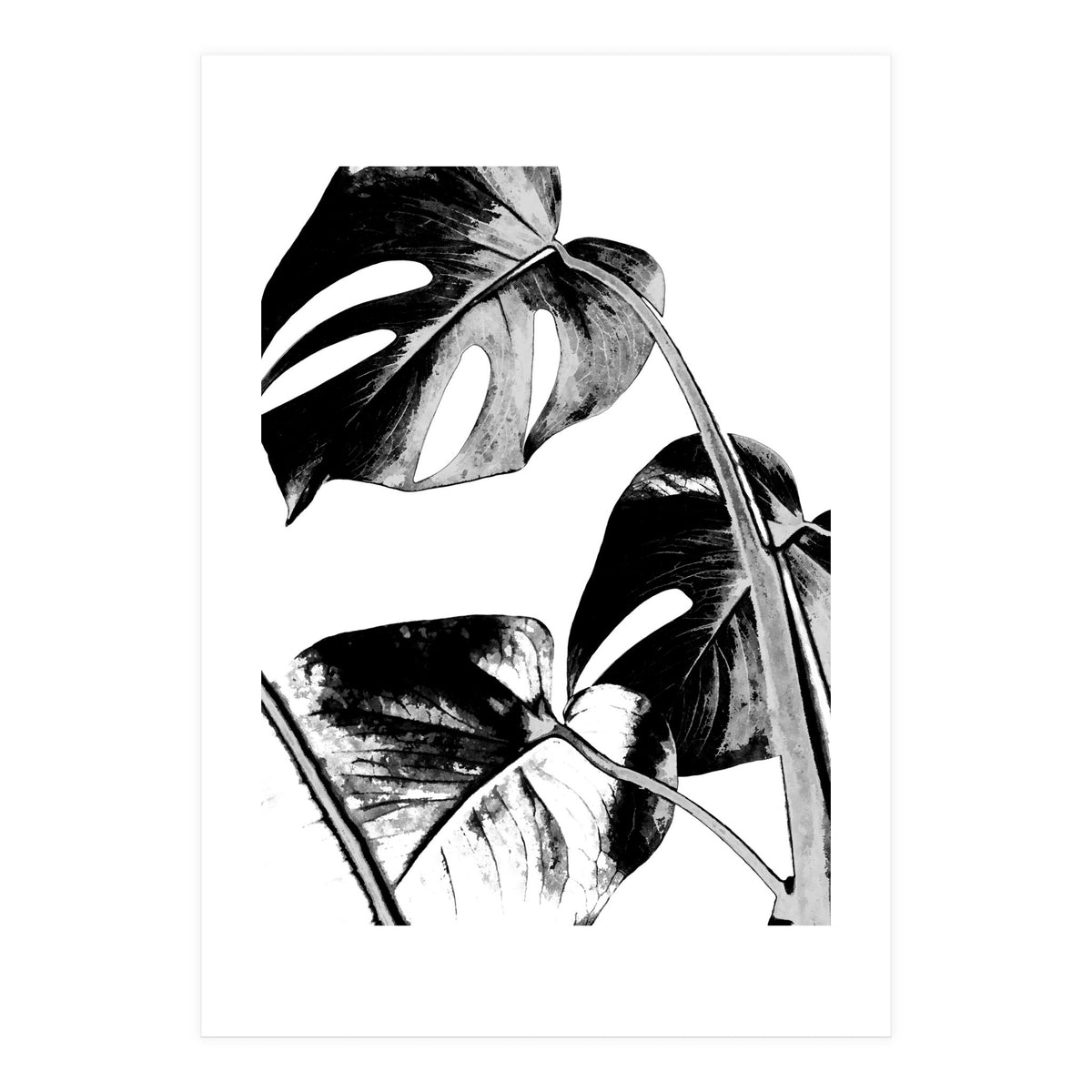 Black Tropical Leaves  (Print Only)