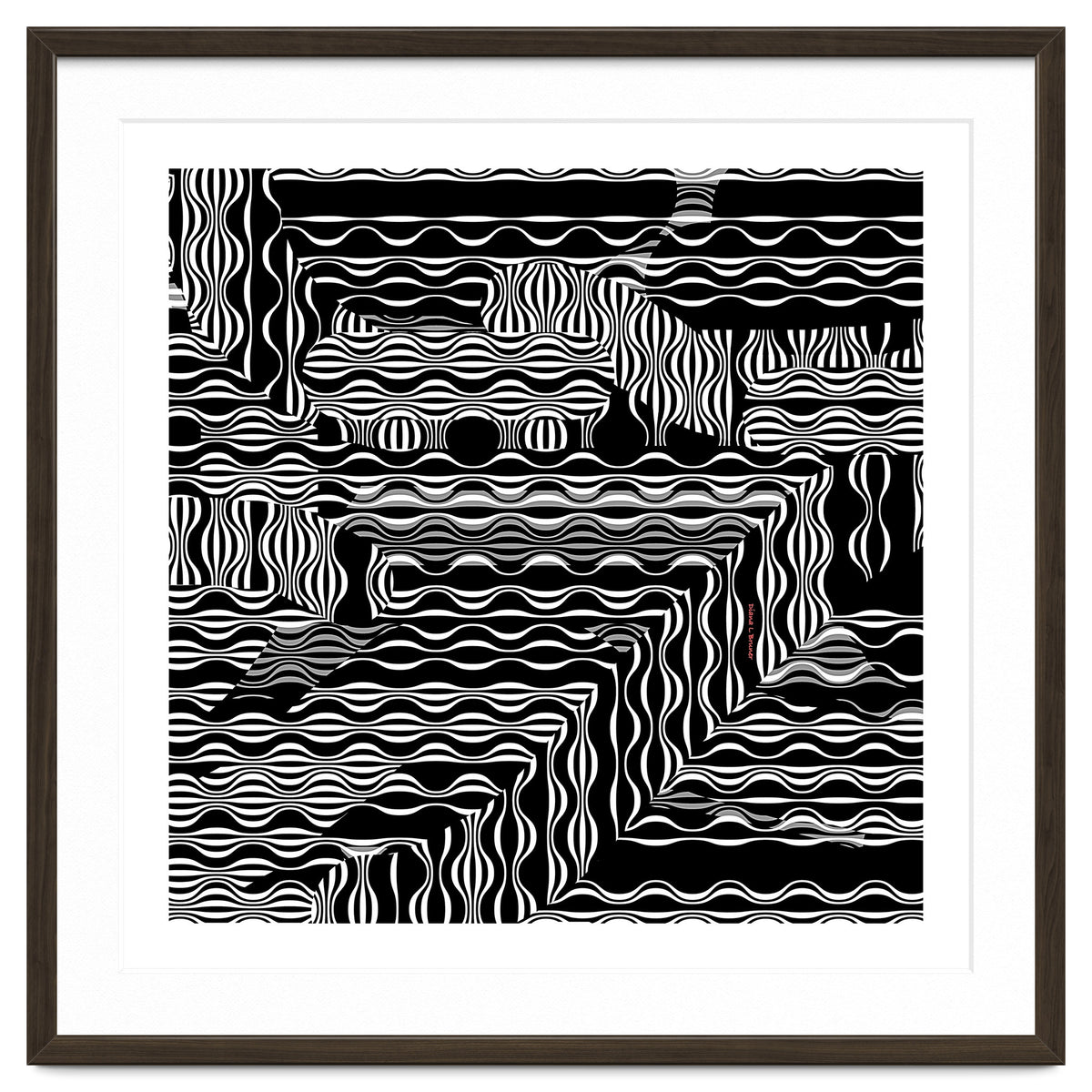 BLACK AND WHITE EXOTIC