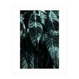The Jungle (Print Only) thumbnail