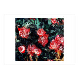 Dark Forest (Print Only) thumbnail