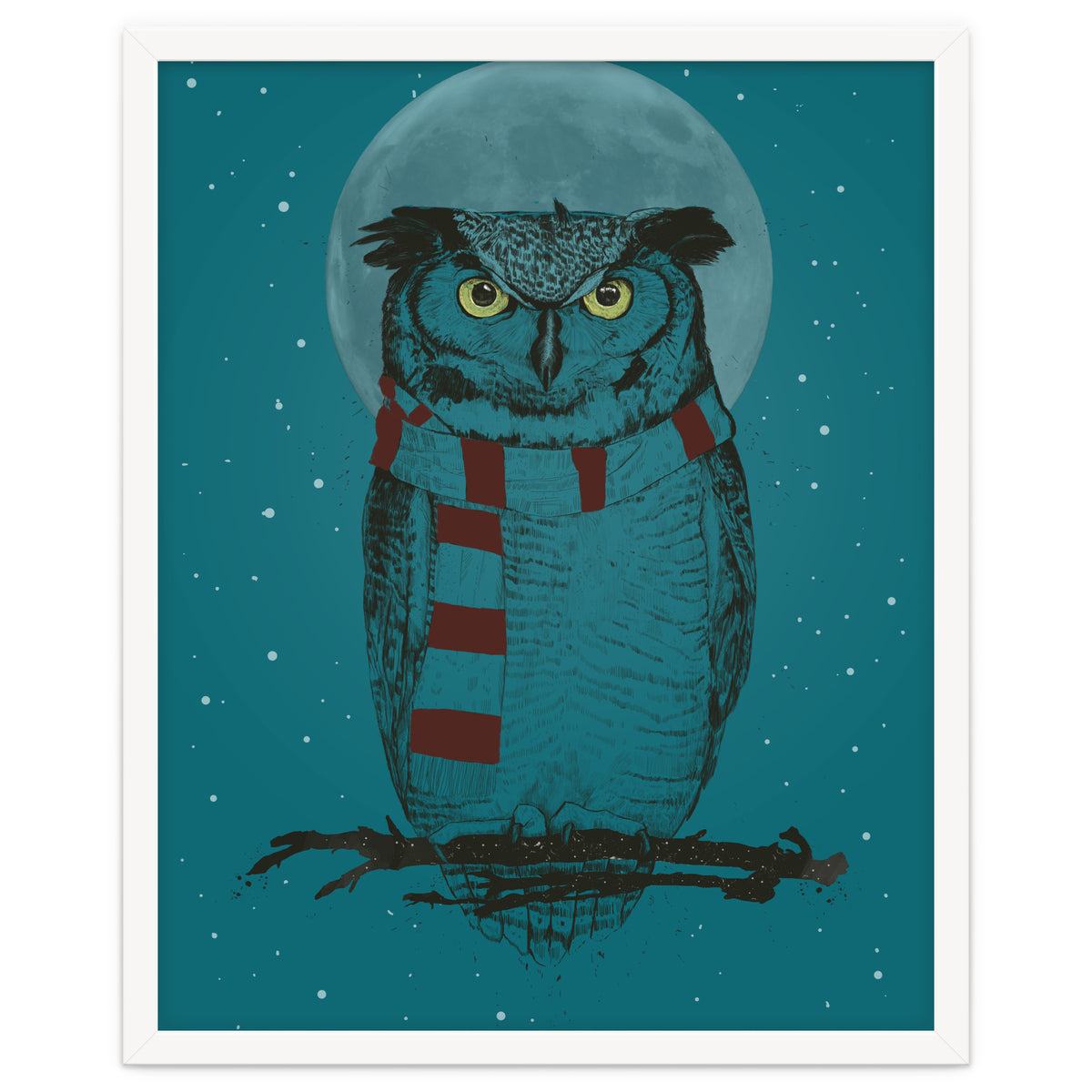 Winter Owl II