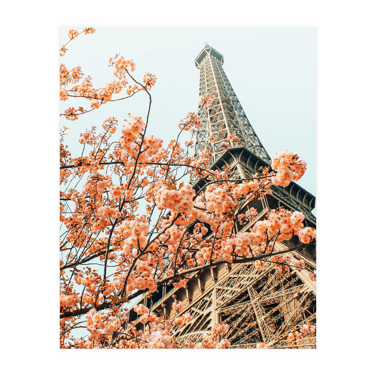 Paris in Spring | Travel Photography Eifel Tower | Wonder Building Architecture Love (Print Only)