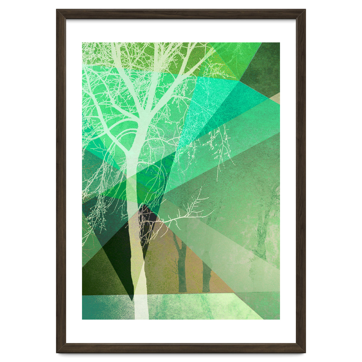 P22 B Trees And Triangles