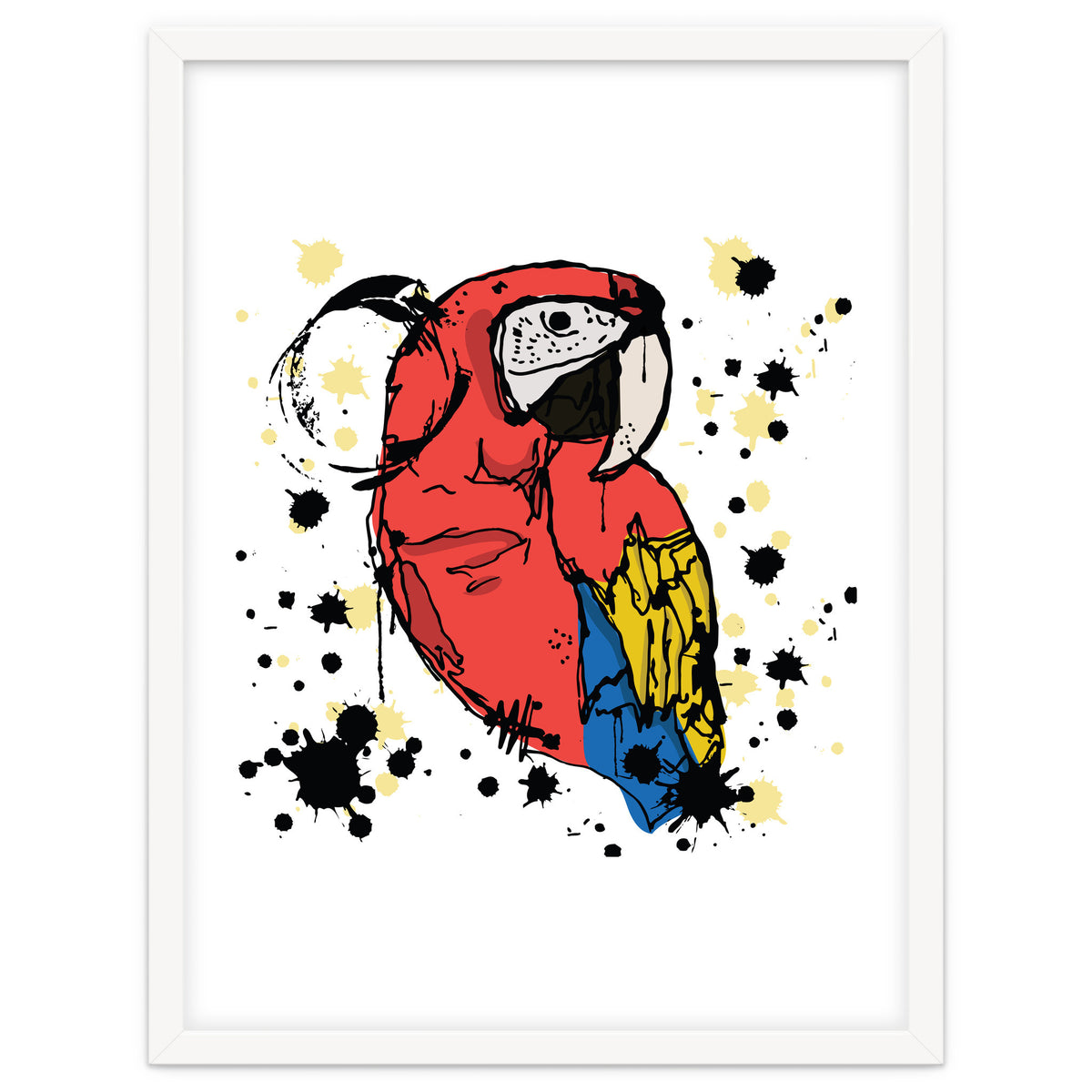 Guacamaya sketch