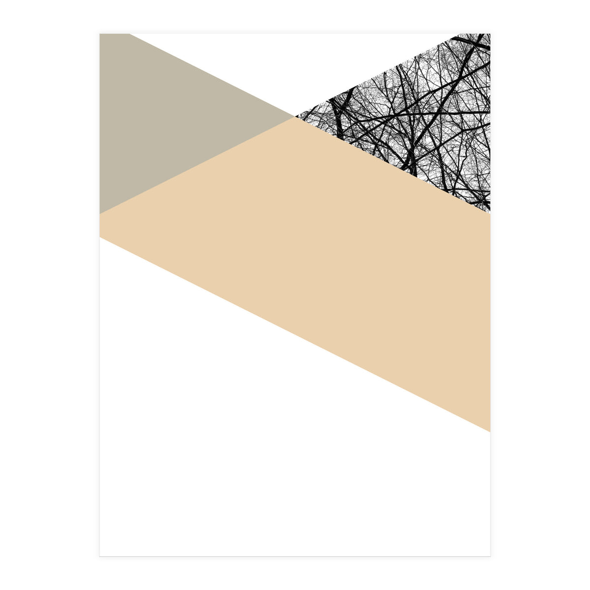 TRIWOOD IV (Print Only)