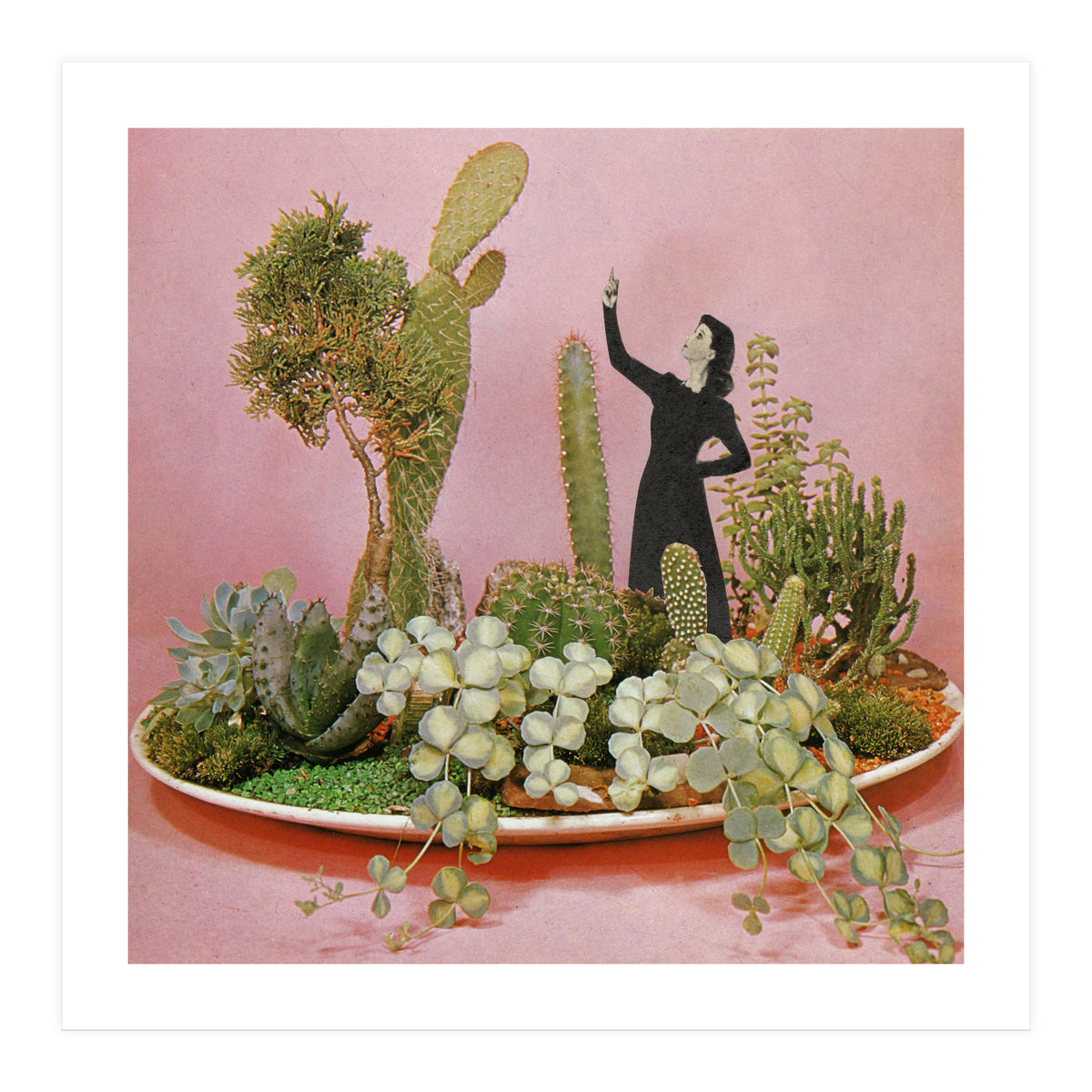 The Wonders Of Cactus Island (Print Only)