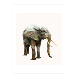 Elephant Transformation (Print Only) thumbnail