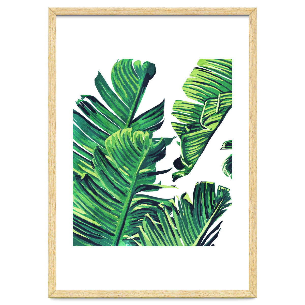 Banana Tree Leaves