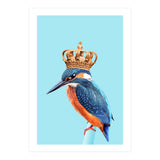 Kingfisher (Print Only) thumbnail