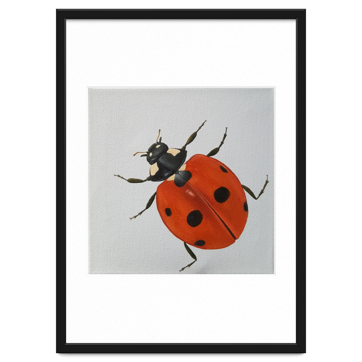 Ladybird