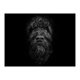 Ziggy Portrait No 2 (Print Only) thumbnail