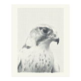 Hawk 2018 (Print Only) thumbnail