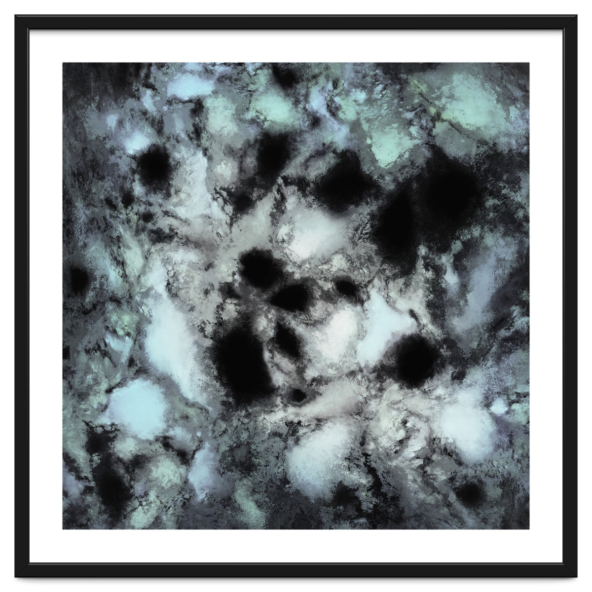 Searching For Animal Tracks