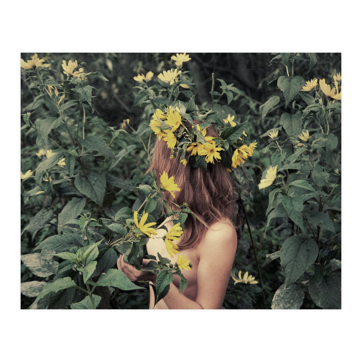 Acid Rain (Print Only)