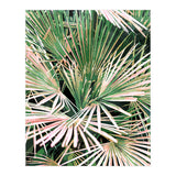 Palms II (Print Only) thumbnail
