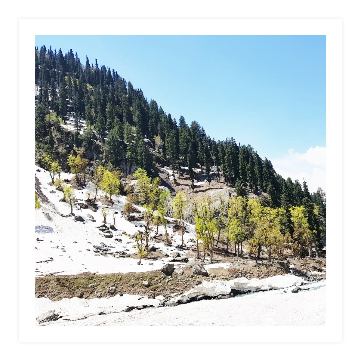 Kashmir V2 (Print Only)