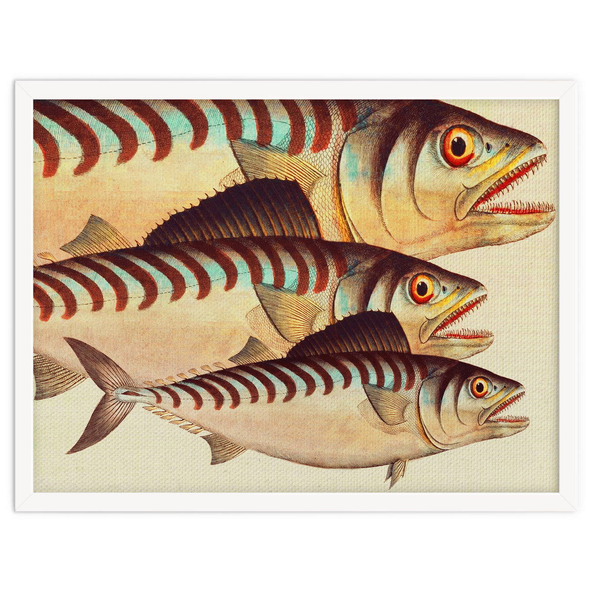 Fish Classic Designs 8