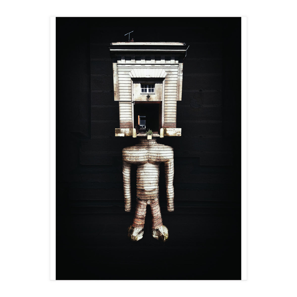 VooDooTooL - Jujia (Print Only)