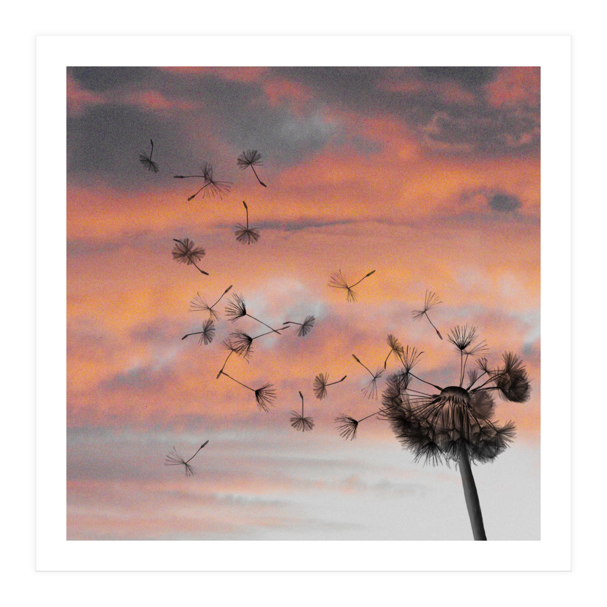 And The Days Went By (Print Only)