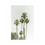 Palm Trees Summertime  (Print Only) thumbnail