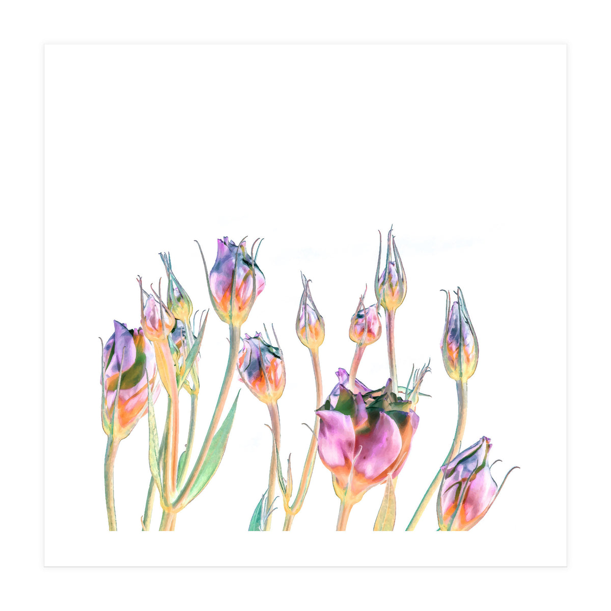 Floral Fantasy V3 (Print Only)