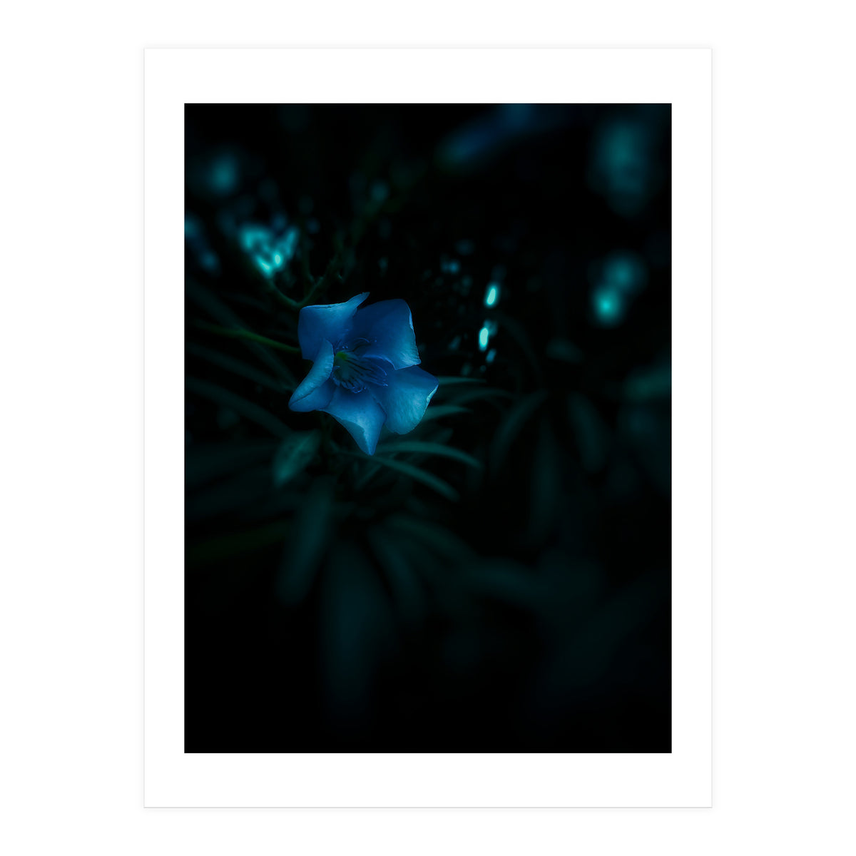 Shining Blue Floral (Print Only)