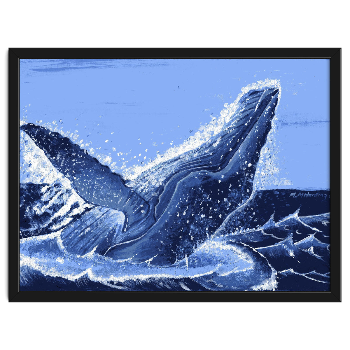 Humpback Whale Breaching