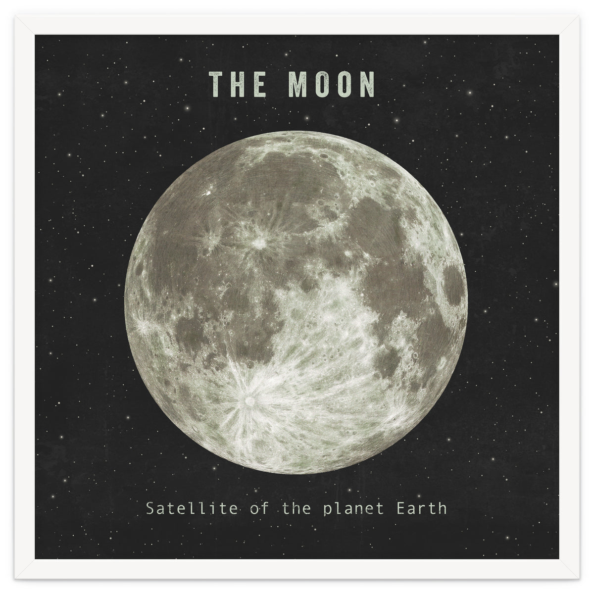 The Moon