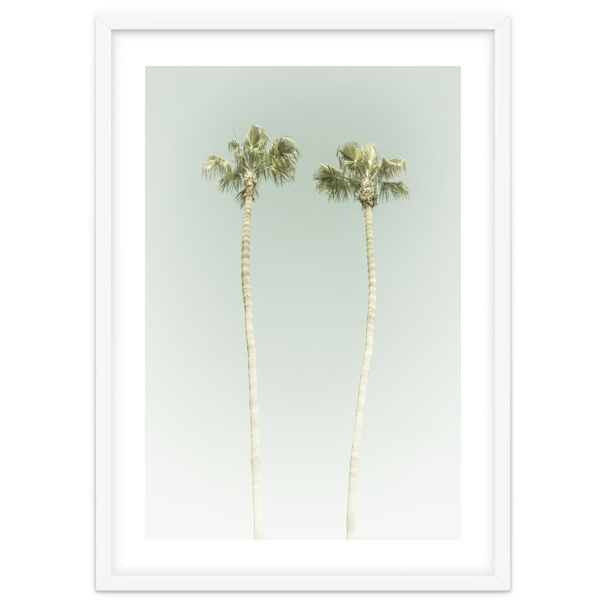 Vintage Palm Trees