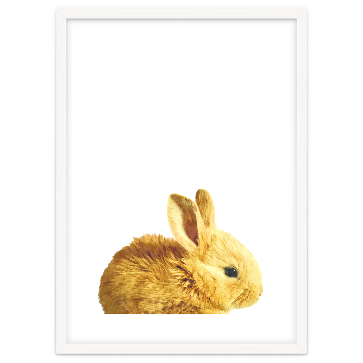 Bunny Portrait