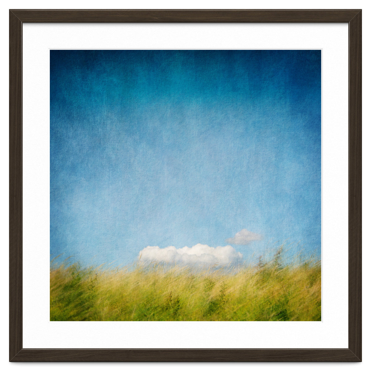 The Cloud That Fell From The Sky