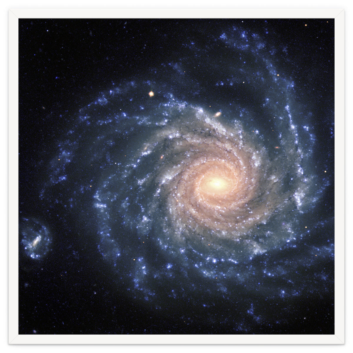 Spiral Galaxy NGC 1232