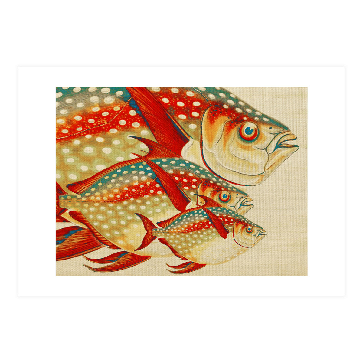 Fish Classic Designs 1 (Print Only)