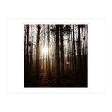 D3 A0 Cf3 E 6509 400 C 926 D 905230 D93 F61 (Print Only) thumbnail