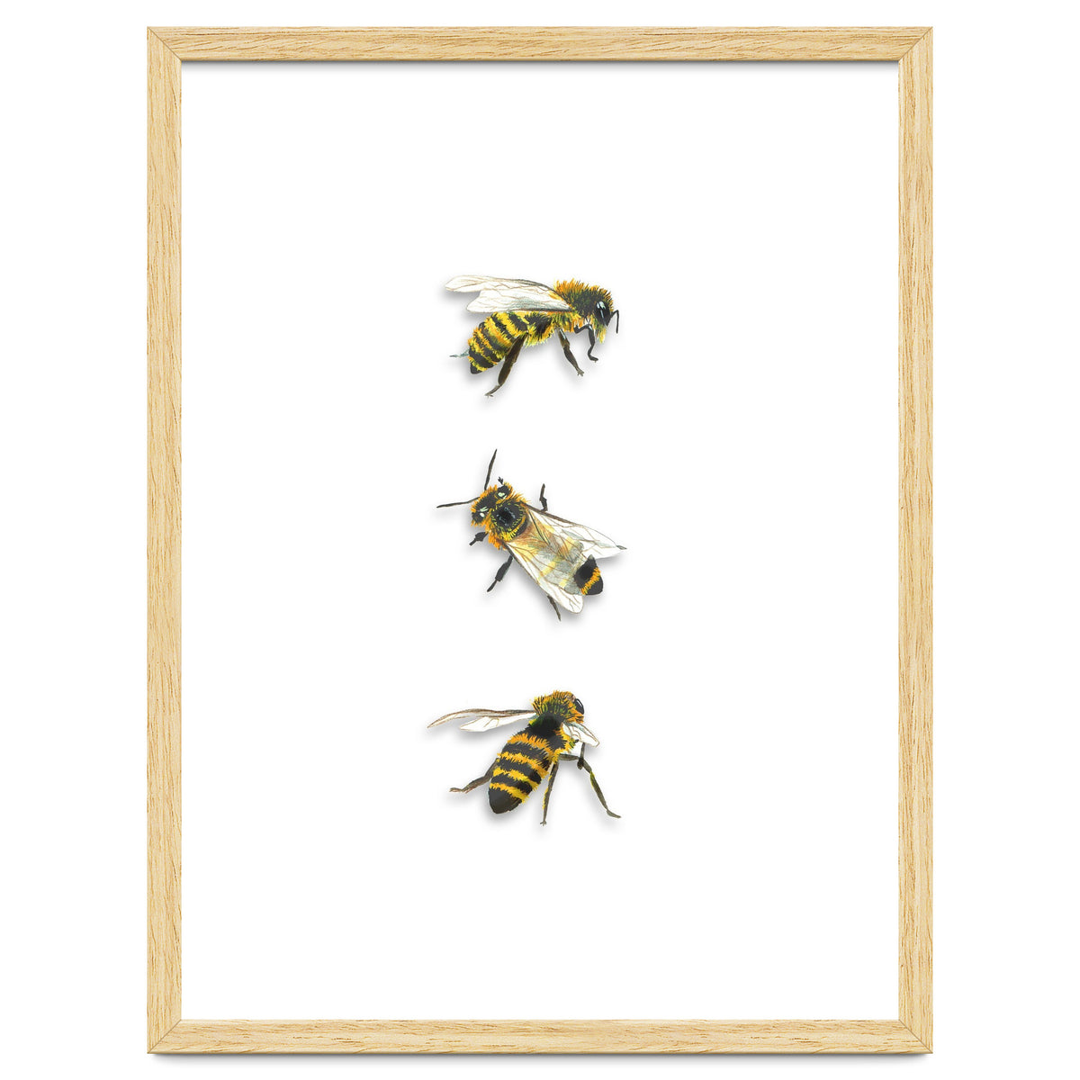 The 3 Bee's