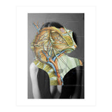 Crazy Woman 210 (Print Only) thumbnail