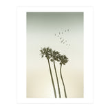 Vintage palm trees at sunset (Print Only) thumbnail
