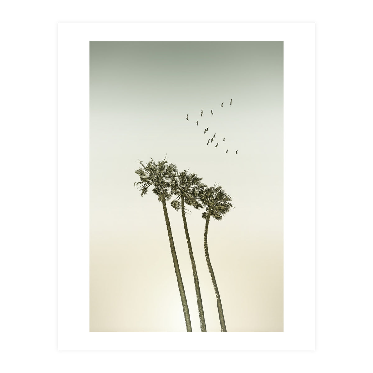 Vintage palm trees at sunset (Print Only)
