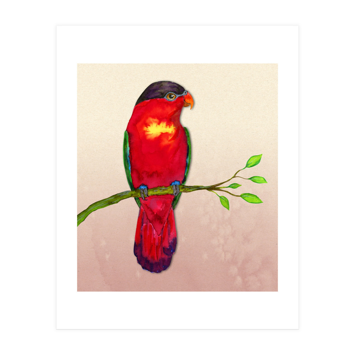 Purple-naped lory (Print Only)