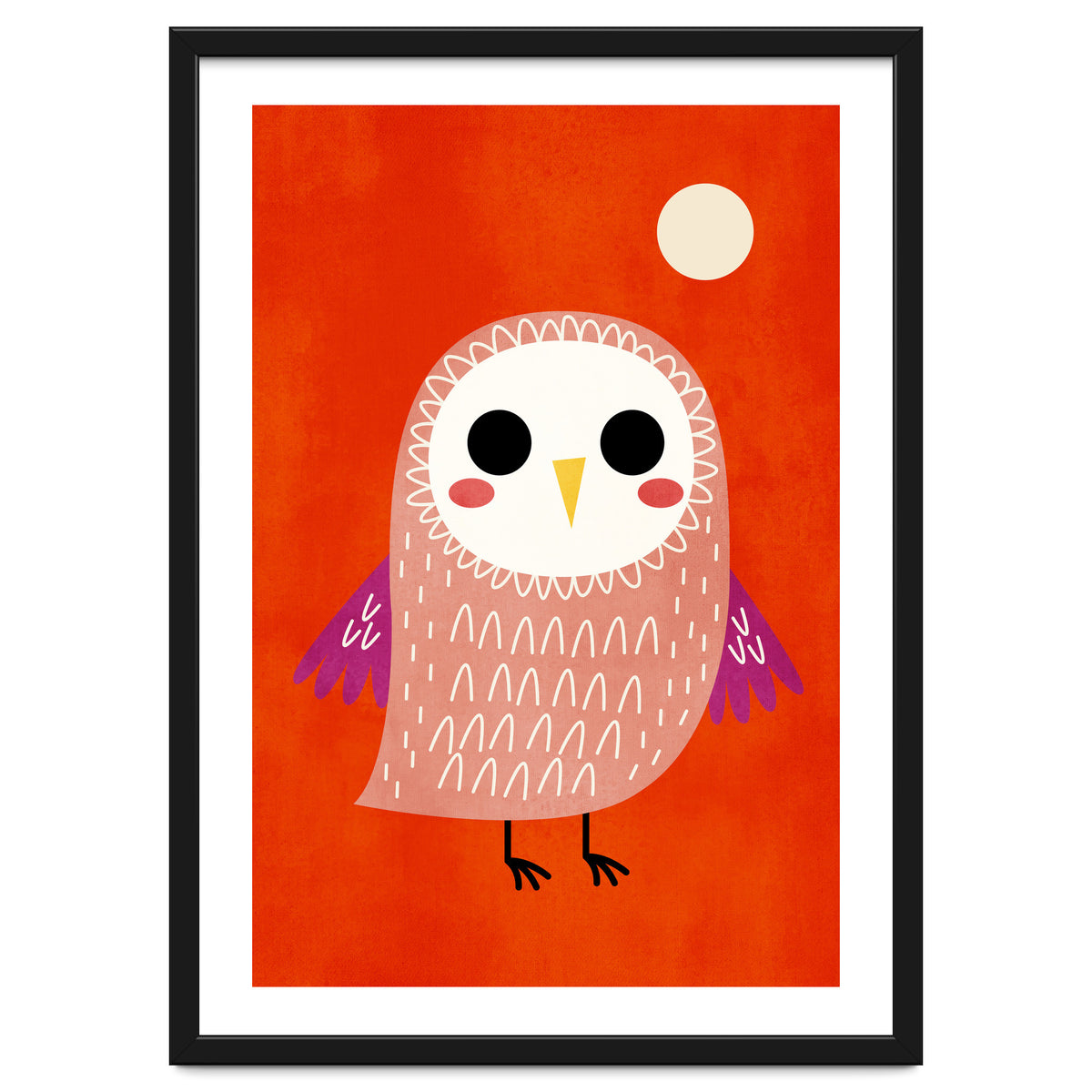 Little Owl
