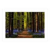 The Path To Light (Print Only) thumbnail