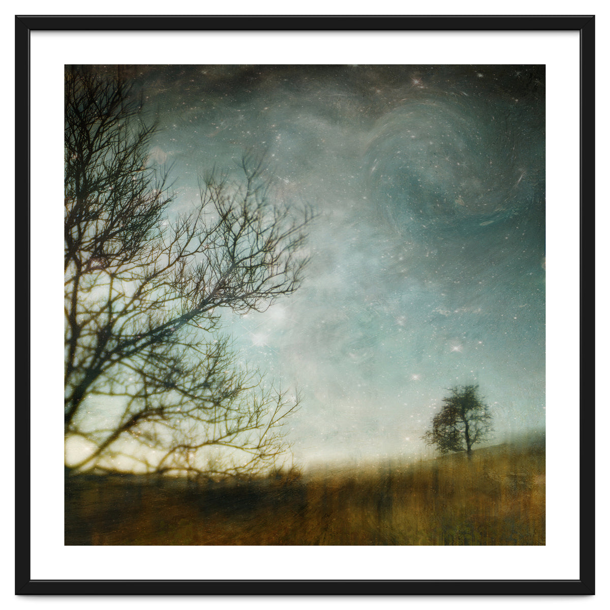 The Tree That Whispered