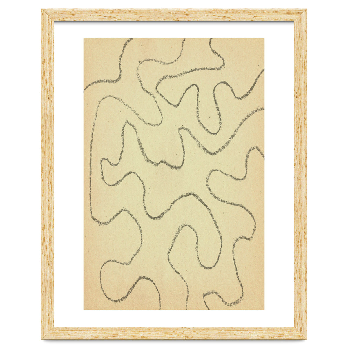 Abstract organic lines