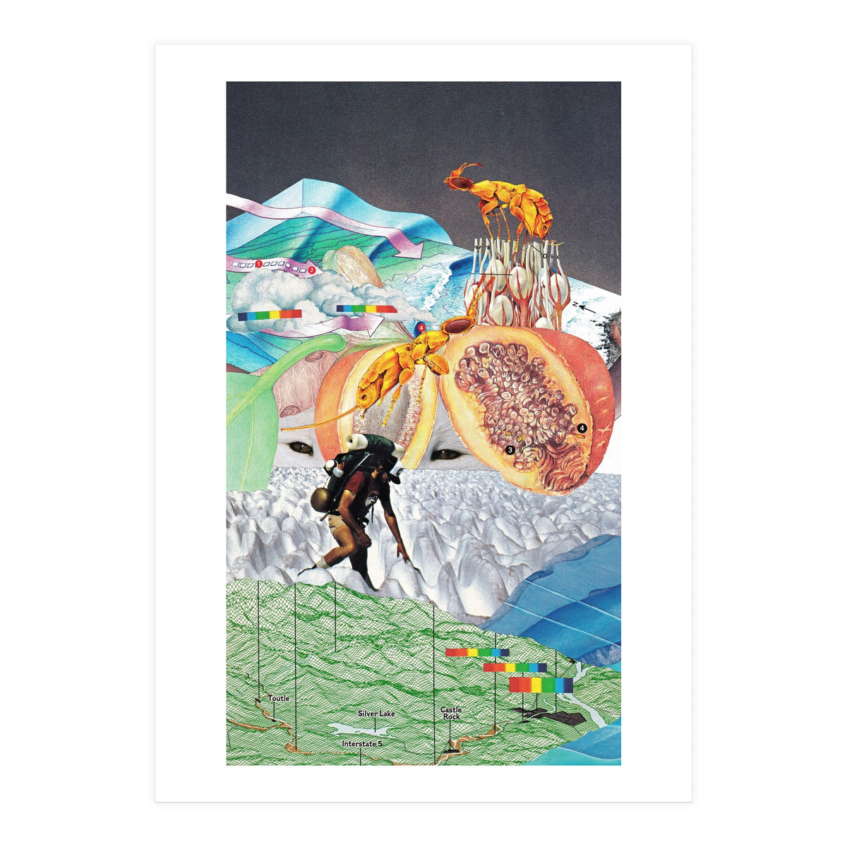 Wonderland (Print Only)