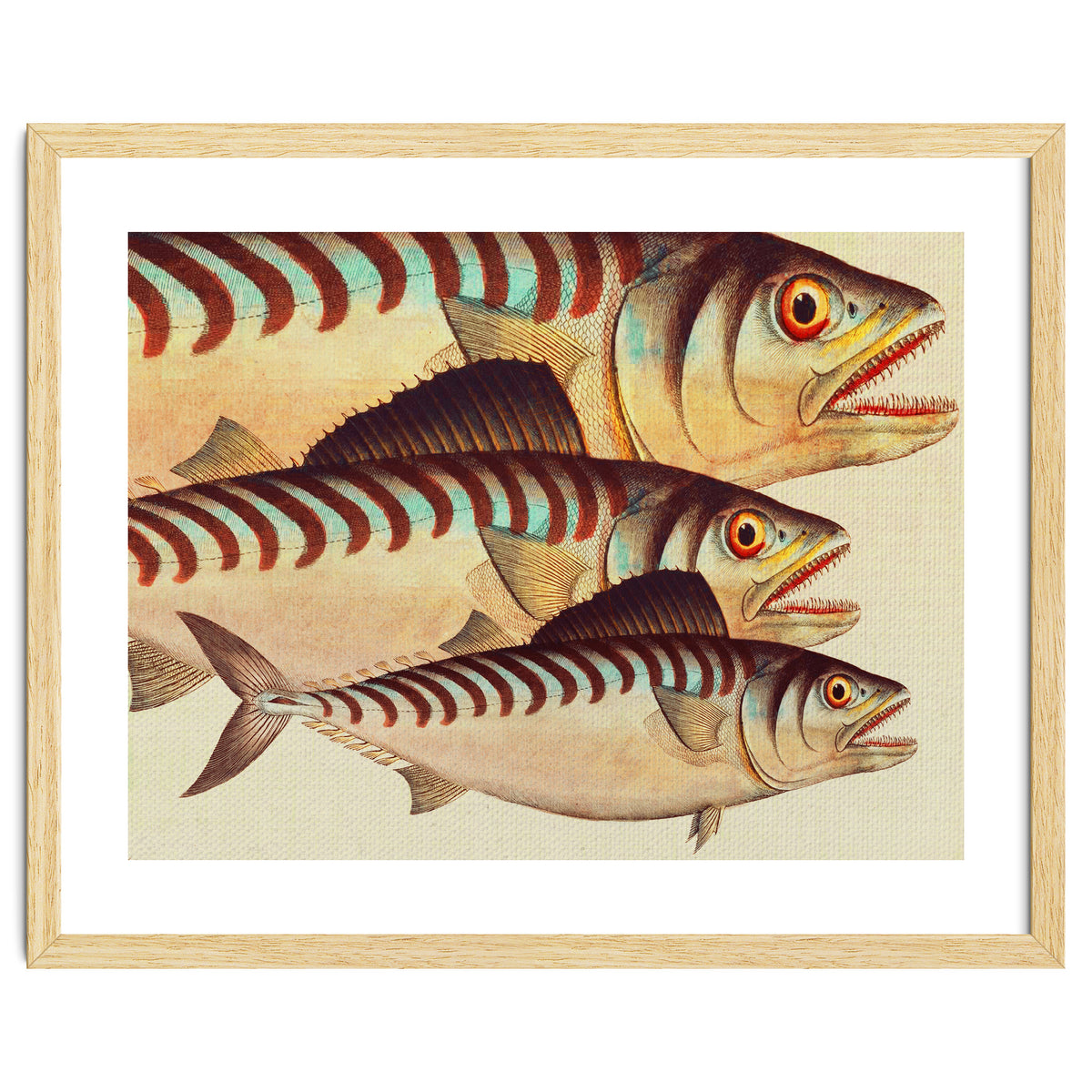 Fish Classic Designs 8