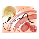 17 (Print Only) thumbnail