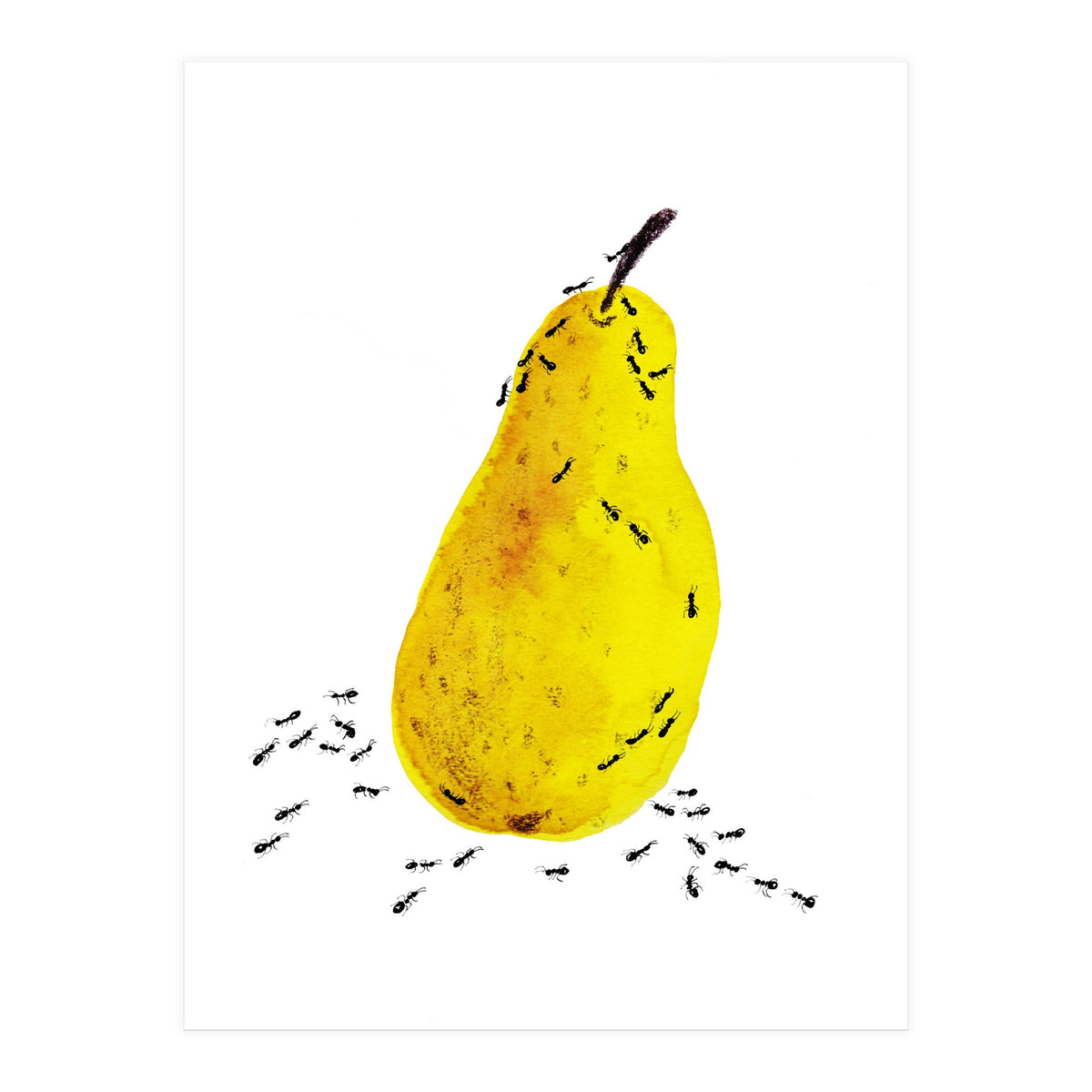 Funtime (Print Only)