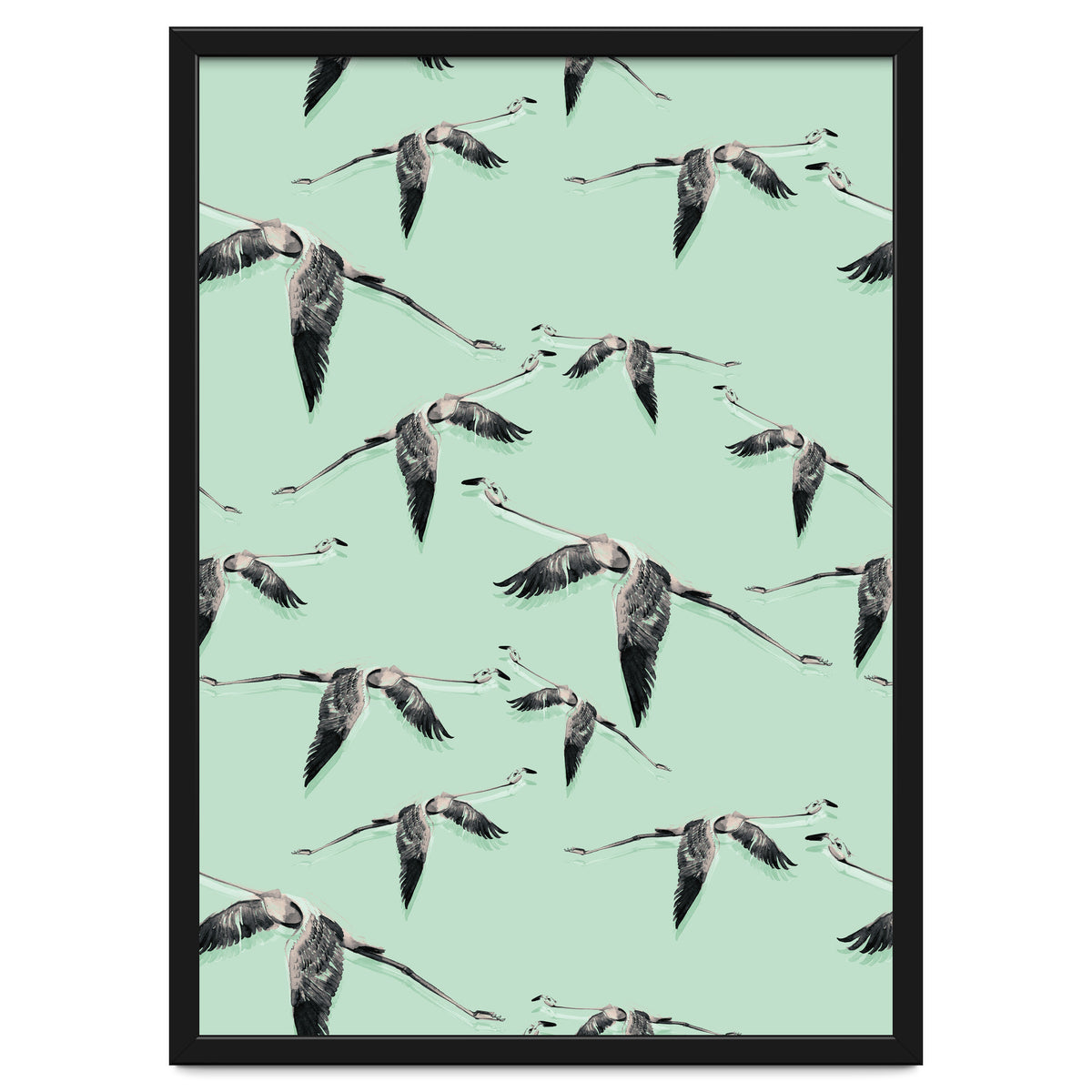 Flight of flamingos