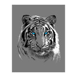 Sketch Tiger (Print Only) thumbnail